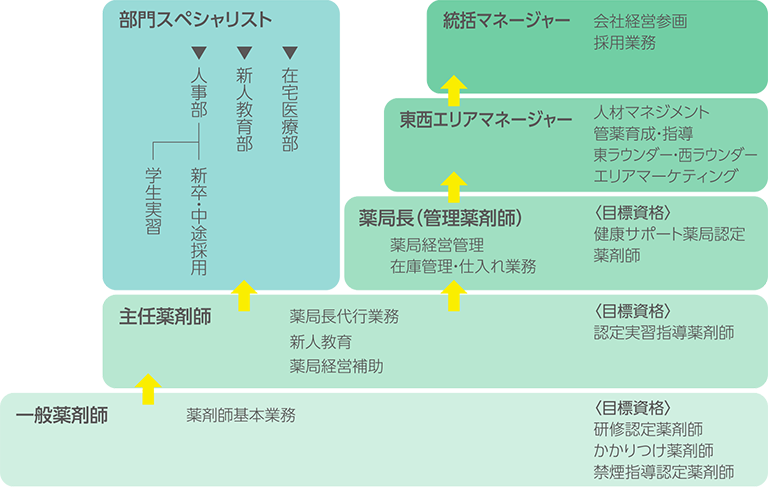 薬剤師のキャリアステップ