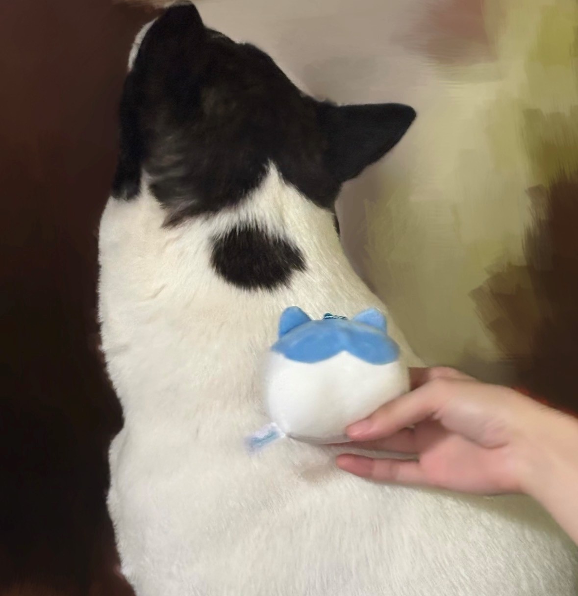 薬局リレーブログ　ウイング調剤薬局　つもりちがい 編