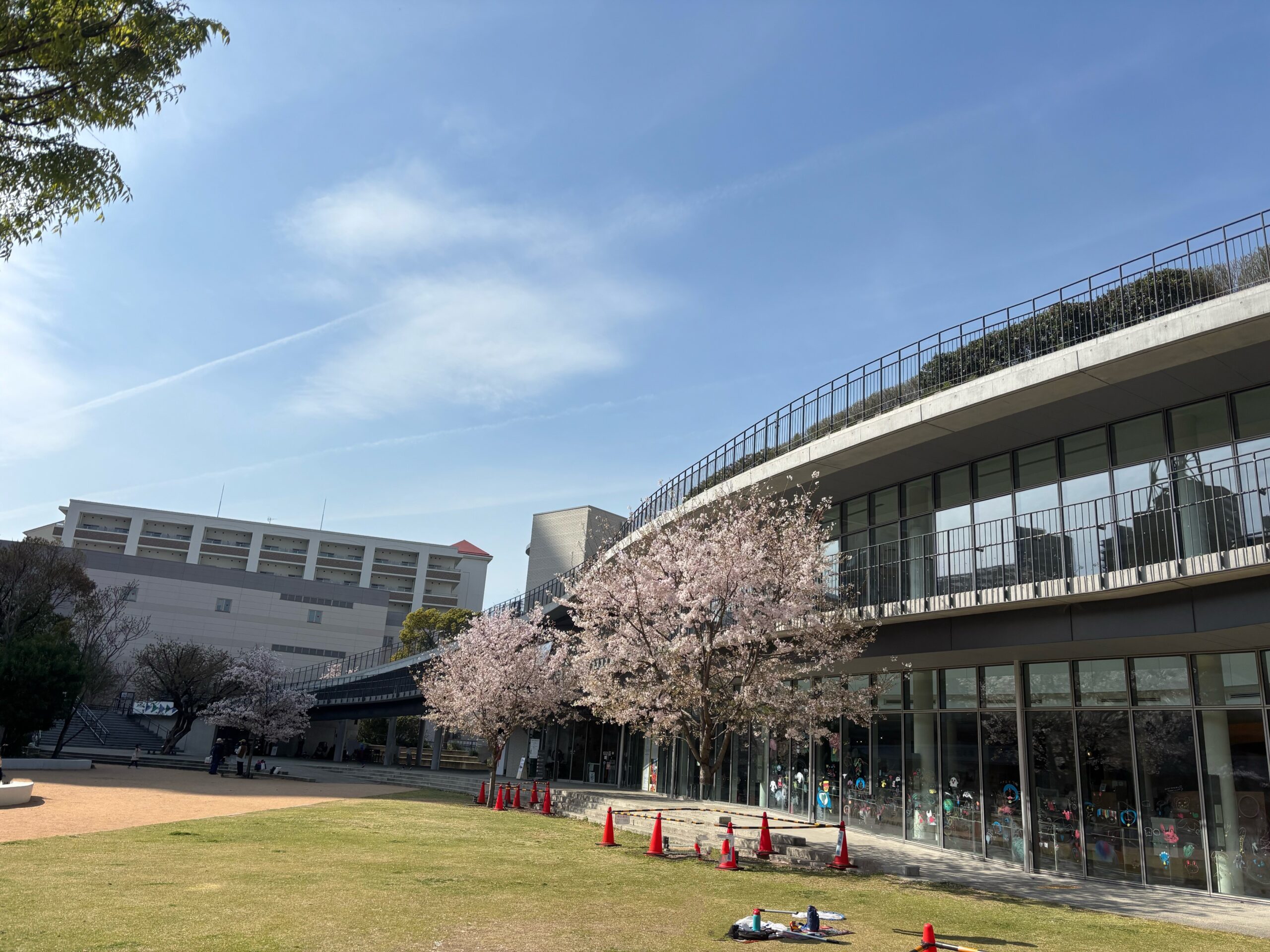 薬局リレーブログ アイビー調剤薬局 薬局周辺のおすすめスポット 編